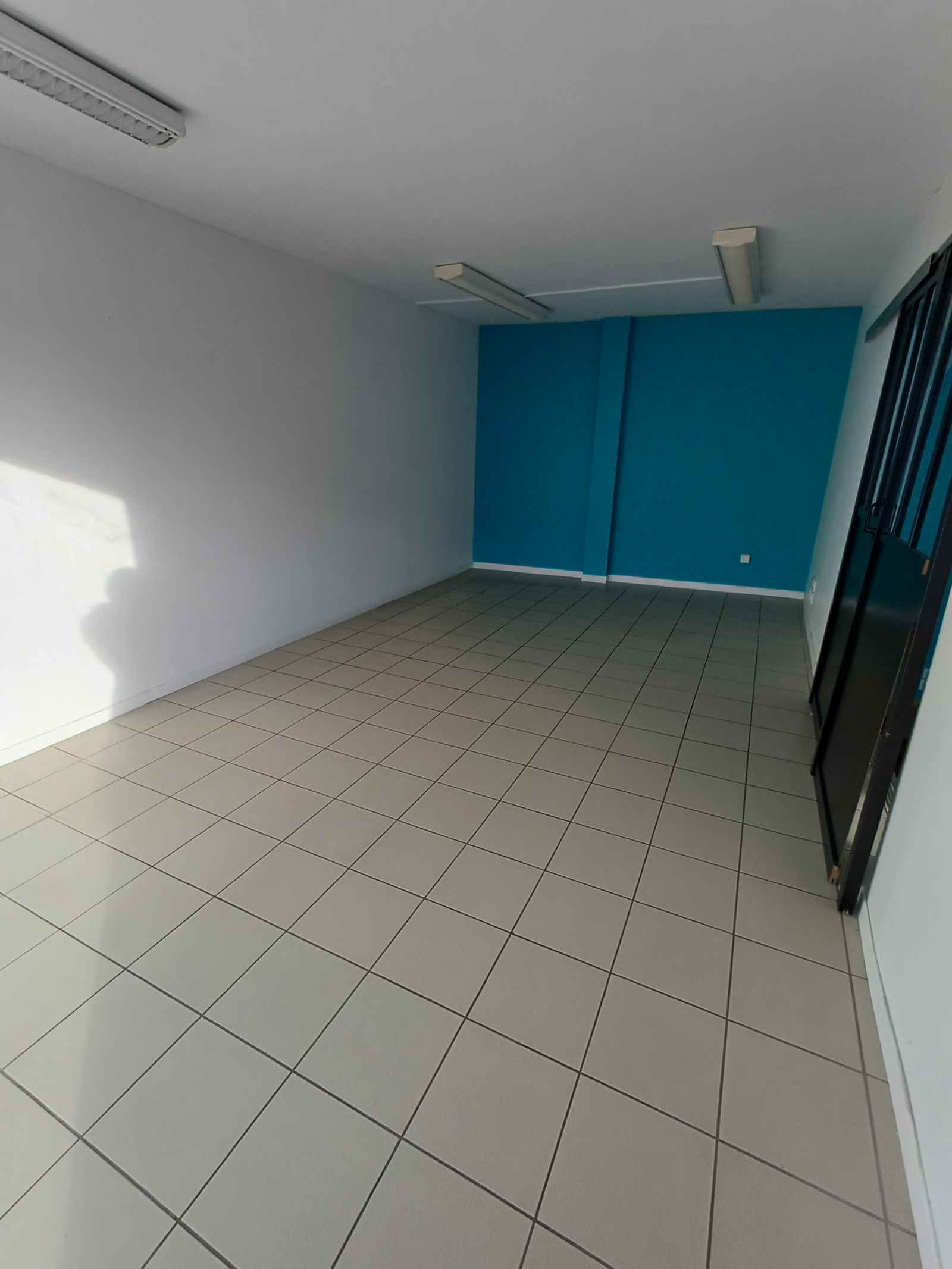 Image_5, Local commercial, Langon, ref :L100000149