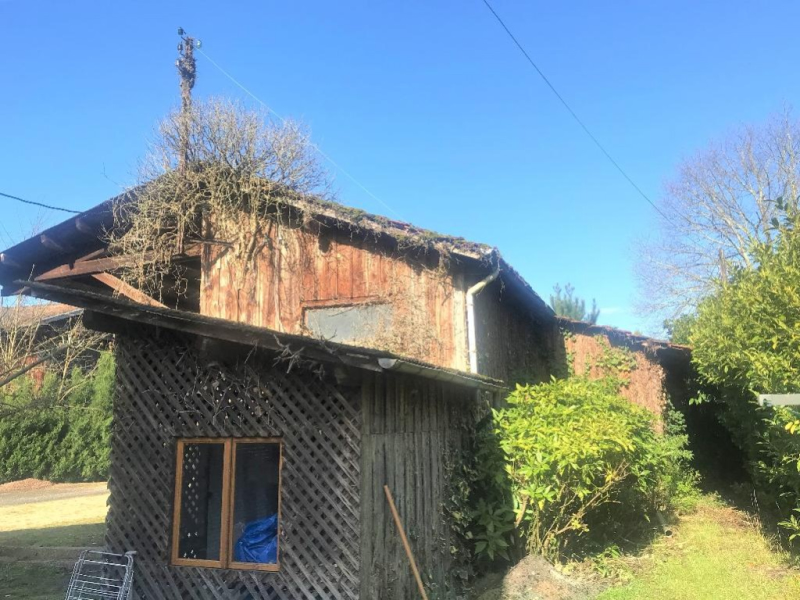 Image_6, Autre, Belin-Béliet, ref :Bel-JAM