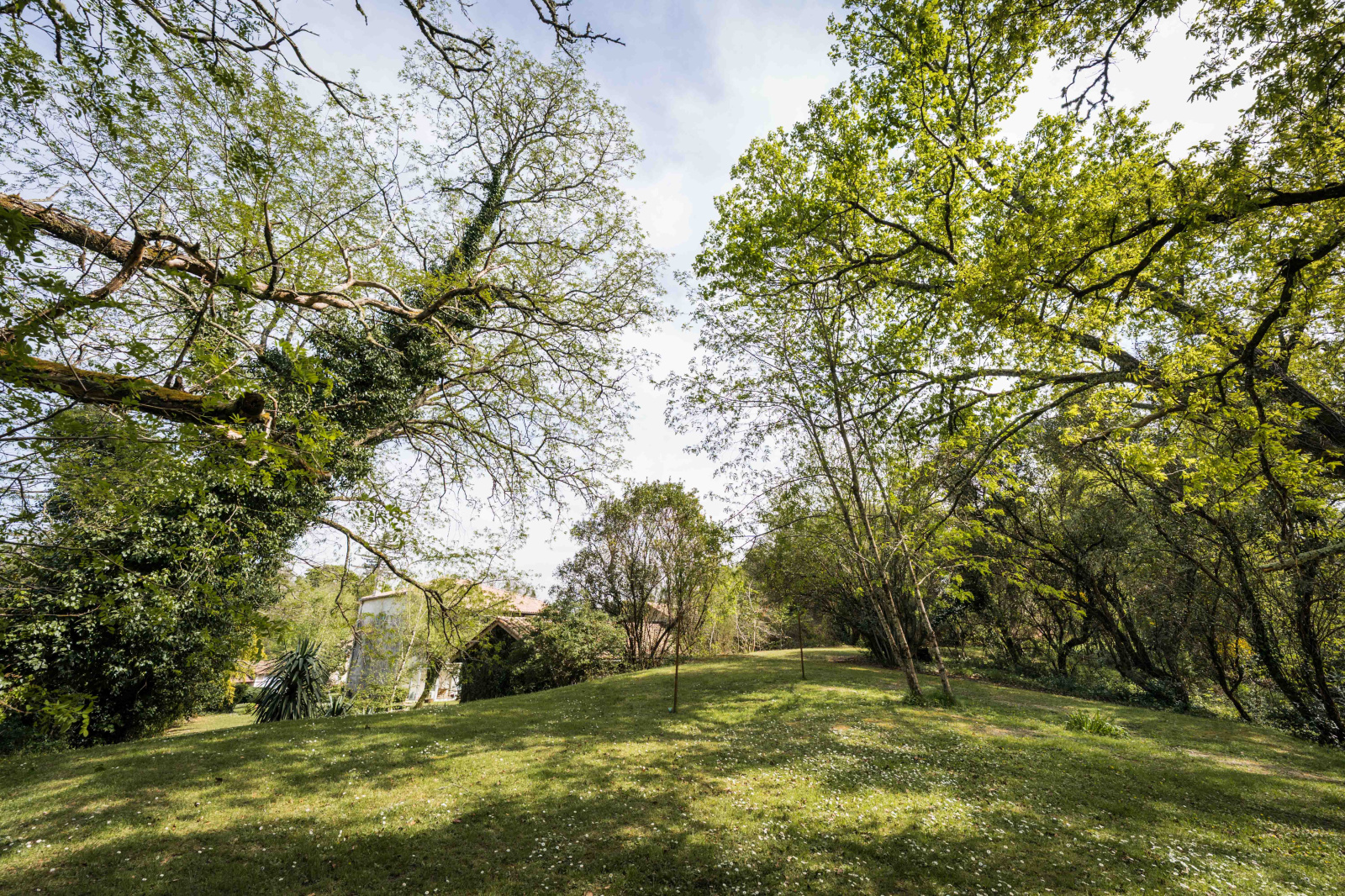 Image_9, Maison, Belin-Béliet, ref :Bel.HAM