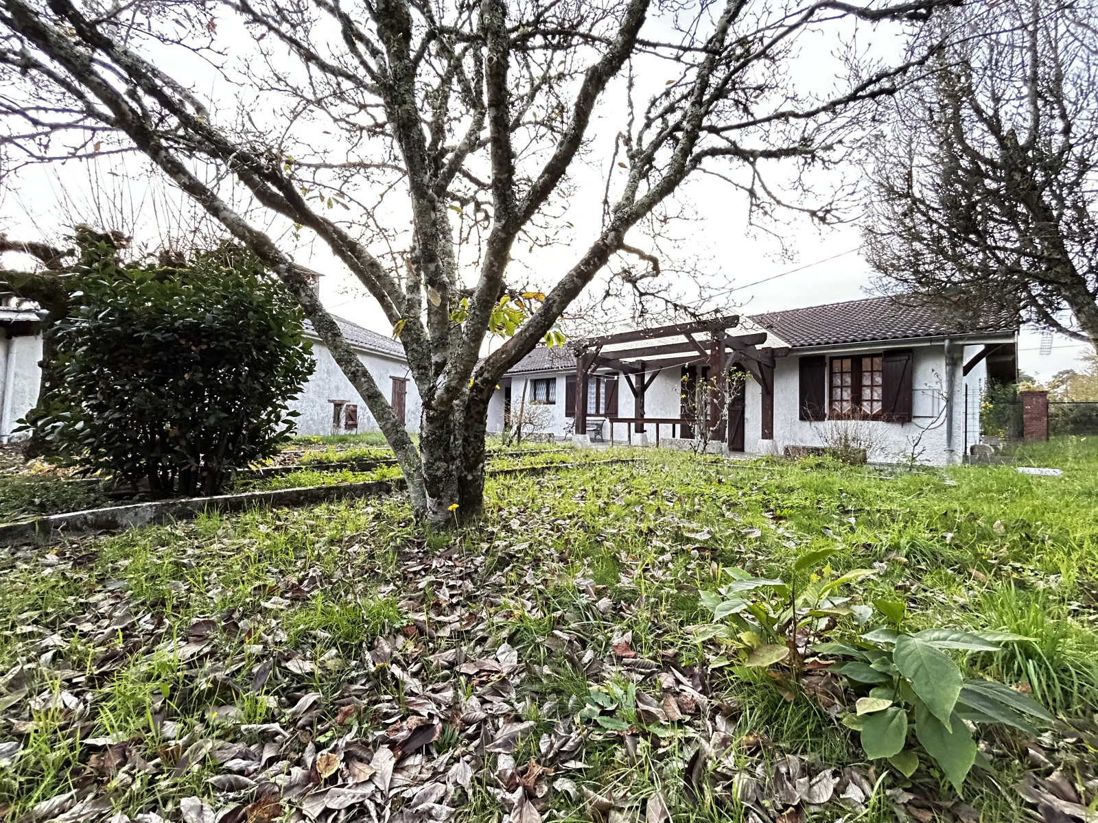 Image_1, Maison, Belin-Béliet, ref :Bel.VIC-Tour